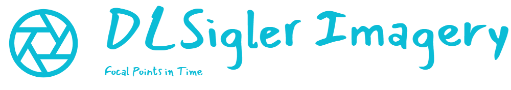 DLSigler Imagery